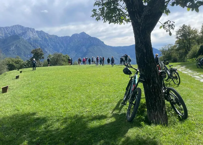 - Treeb Tivano Daire Bellagio