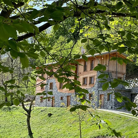 Apartamento - Treeb Tivano